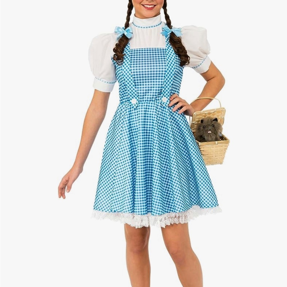 Dorothy costume
